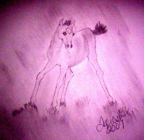 One of my horse drawings, with pencil and paper - I did this horse drawing with pencil and paper and then I did auto balance in MS Photo Editor and this is what it did to the picture. I liked the effect so I saved it this way. The original is just plain pencil on paper and its hard to see on the computer.