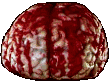blood - brain horror