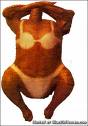 chic - sunbaked chicken