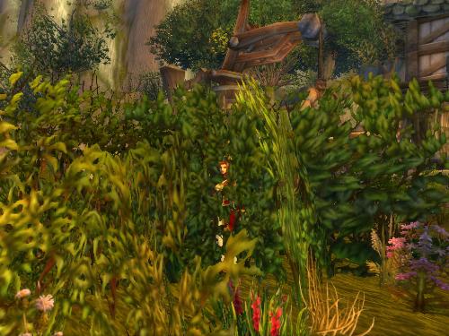 Hiding Spot - Bushes are a good way to hide as long as you aren't coming up against someone with human tracking.