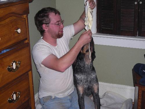 goofing off - yes that is a dog and no- we dont normally put that on her. she got stuck