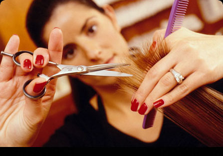 hair dresser cutting hair - www.staysharpshears.com
446 x 311 -33k hair dresser cutting hair - www.staysharpshears.com
446 x 311 -33k
