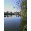A day at the park - I was at the park and taking pictures with my phone.It was a good day.