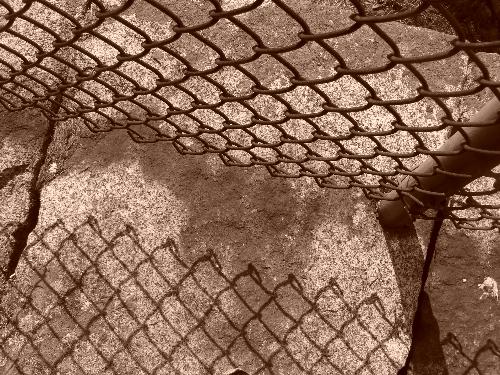 Fence with Reflection - Photo I took of a fence and it's reflection on the ground.