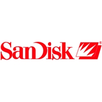 sandisk - The type of mp3 player I have