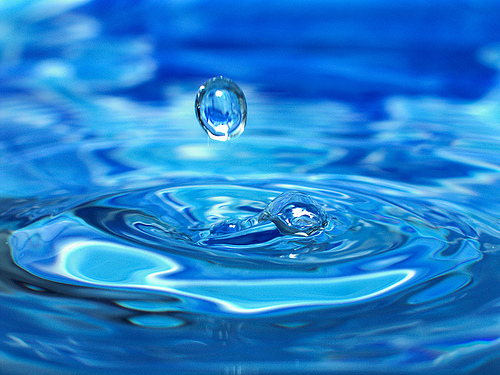 water - water drops