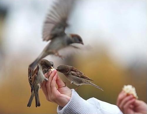 joy of love - Just enjoy what you have.Do not see the surroundings for saddness but make the surroundings happy.