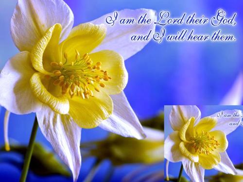 word of hope - There is a god to here for everyone to guid in this life