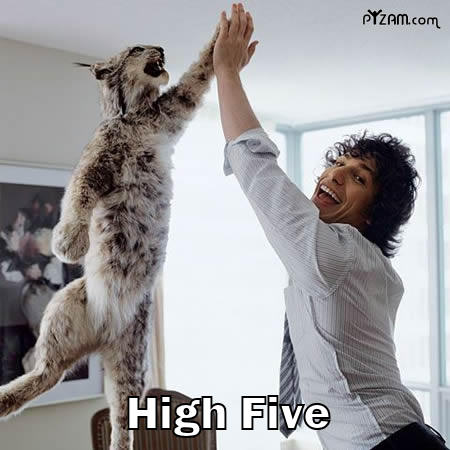 high five - high five!