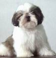 SoO CuTe - How sweet can you get??