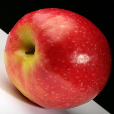 apple - red apple