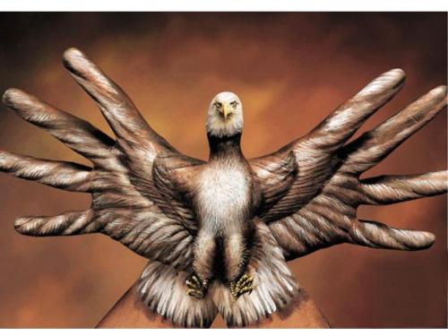 hand painting - eagle