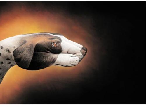 hand painting - nice doggie