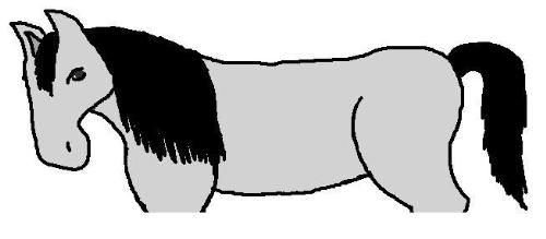 Horse Pic on Paint - This is a pic i drew on paint when i was bored earlier, drawn using my graphics tablet.