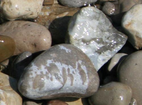 Wet Stones - Here is a picture of wet stones that was created at a beach. I like looking at the water shapes that are on the stones... do they resemble anything to you?