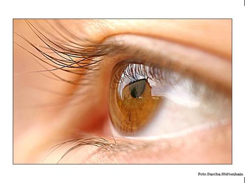 don't stare! - this eyes are the eyes which look to these world please take care of it