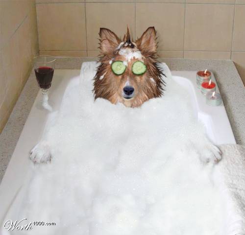 lassie does porn - dsh n [[ [skh[ak[a jk j[k[ ksn[ j sishh