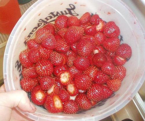 Fresh picked strawberries - Fresh Picked Strawberries