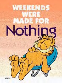 Garfield - pic of garfield showing how weekends should be