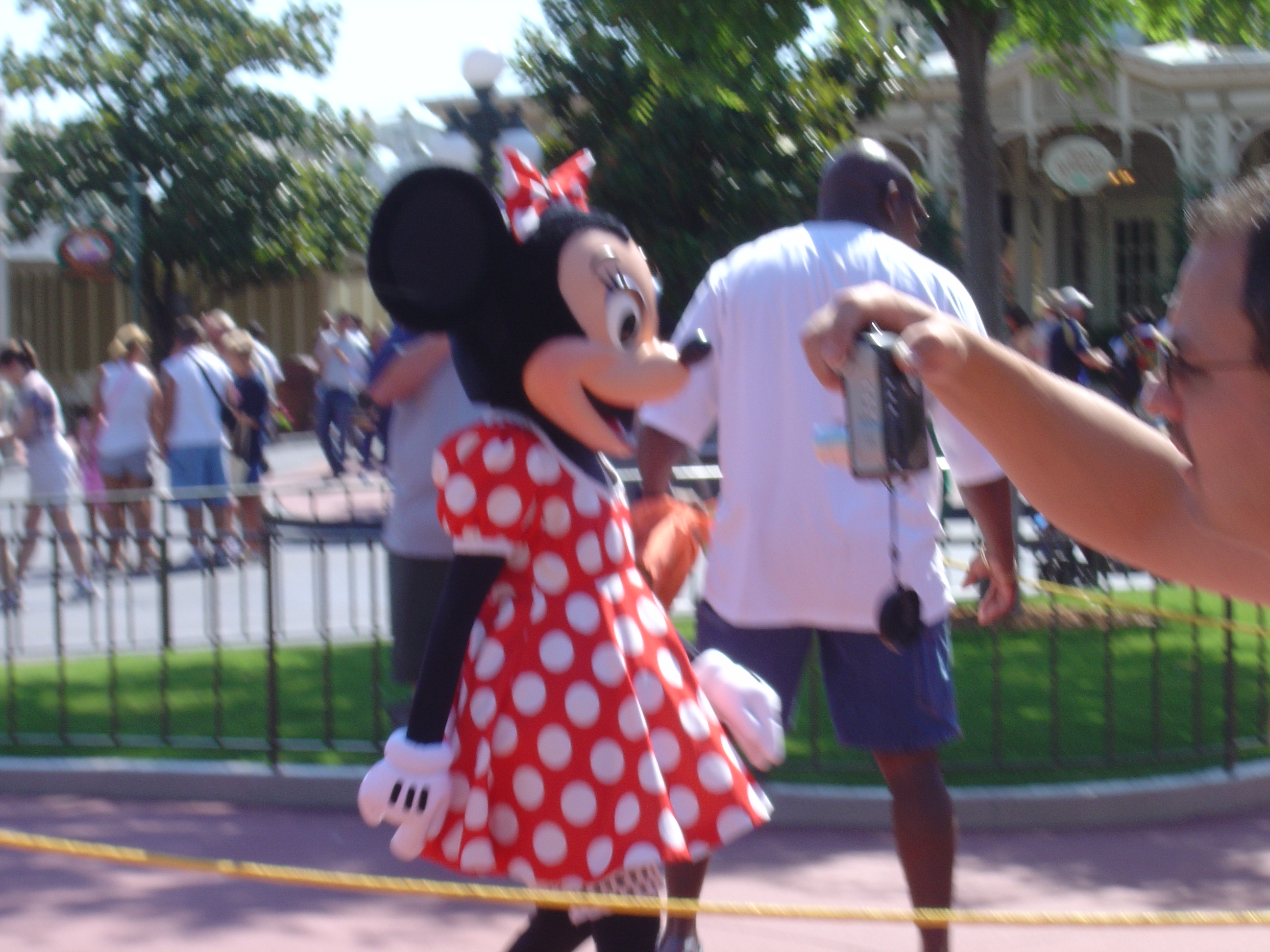 disney - i took this pic in orlando disney