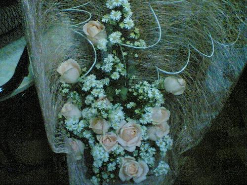 Flowers - I just love flowers. Especially peach ones.