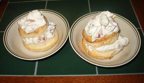 Strawberry Shortcake - I made this awesome strawberry shortcake out of homemade whipped cream and biscuits with just a bit of sugar. I cut up the strawberries and put them right into the whipped cream and it was awesome!