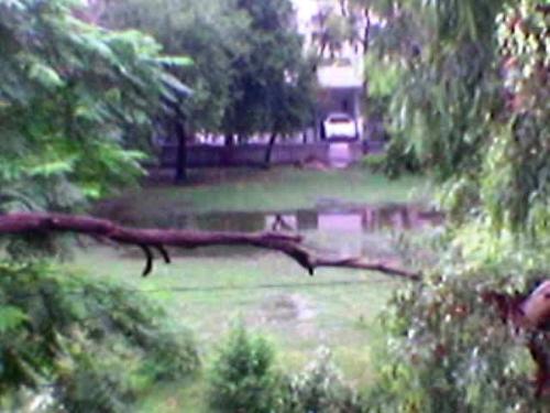 In Rains - A Rain Photograph .