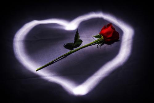 love - love is in the air