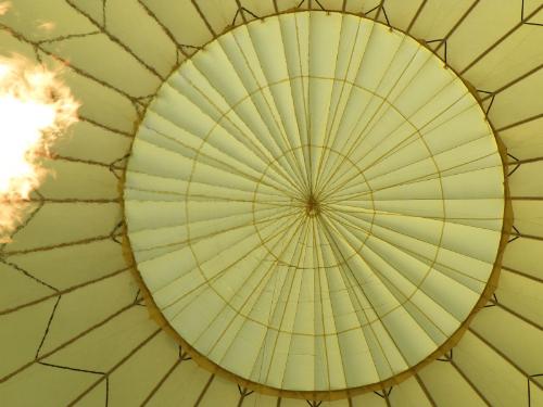Balloon Top - Lookin up