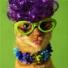 Cat - cat in tacky attire. Looks like one of those busy bodies hahahah