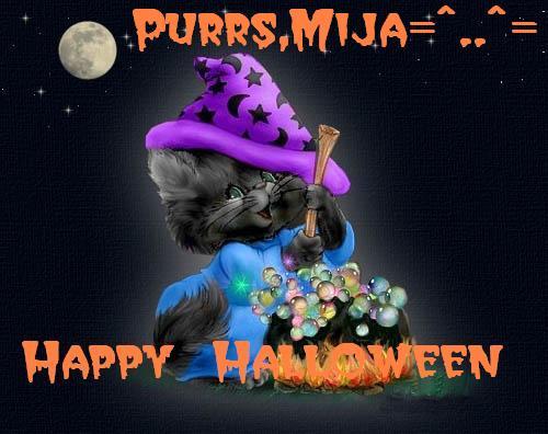 Mija=^..^= - My loving and loyal sidekick
