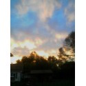 Sunset in My Backyard - I had to catch this!