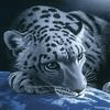 Leopard - This is a Leopard,with can blink eyes.