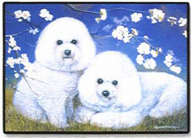 Poodles - Cute Dogs that make Great Pets.