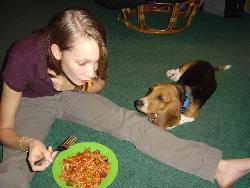 Begging - Begging