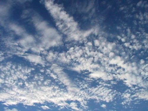 clouds in an interesting formation - clouds in an interesting formation softly scatter thru the sky