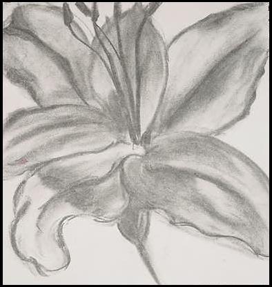 lily from life - one of my personally fav pix