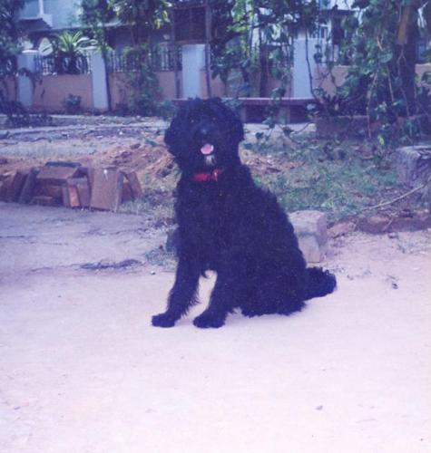 Tipsy - I really miss him.
