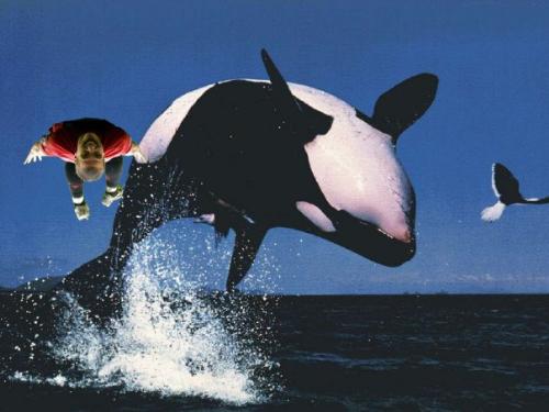 He made free willy look like shite - Nemanjan's dive!!!