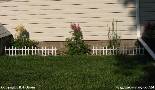 My Astillibes - Added this plastic fencing recently.