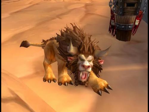 World Of Warcraft - Pictures of the animials the druid turns into.