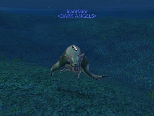 World Of Warcraft - Pictures of animials that the durid turns into.