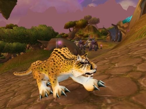 World Of Warcraft - Picture of the animial your druid can turn into.