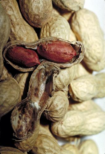 Peanuts - The outside and inside of a peanut.