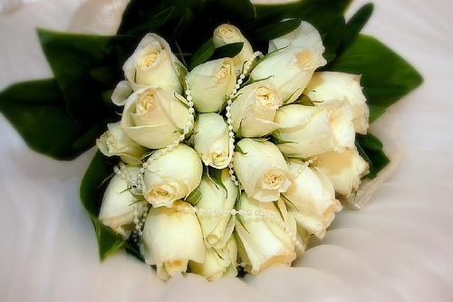White - Chastity and Sincerity - White flowers for me represent these. I love white roses! Hehe.