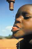 water - Water is very important in our body.
