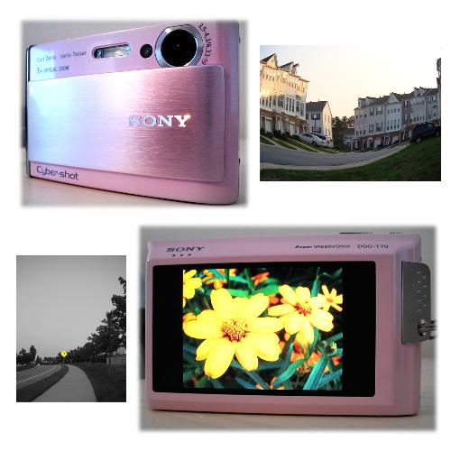 Sony Cybershot T70 - My new camera! A pink Sony Cybershot T70. 

Clockwise from the upper left corner: The view of my camera from the front, a photo I took with the camera using the fisheye filter, the view of the touchscreen on the back showing a flower photo I took, and a photo I took using the selective color filter.