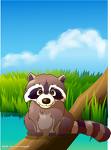 raccoon - Cute raccoon