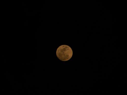 Full Moon - Last night we had a full moon. It looked so BEAUTIFUL!!