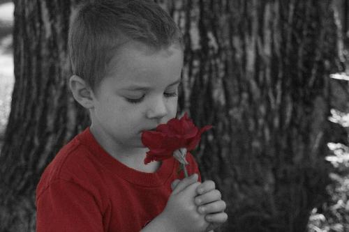 my nephew age 4 - I took this photo of my nephew